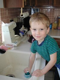 2001-12-24-Chance-cleaning-sink-2.JPG
