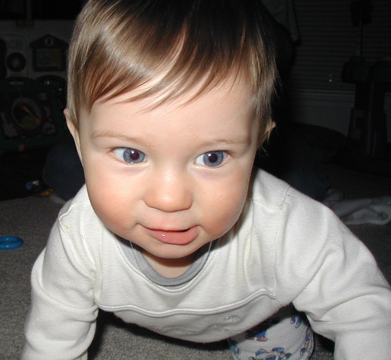 2002/01(January)/Misc/800x600_2002-01-05-Dax-crawling-2.JPG