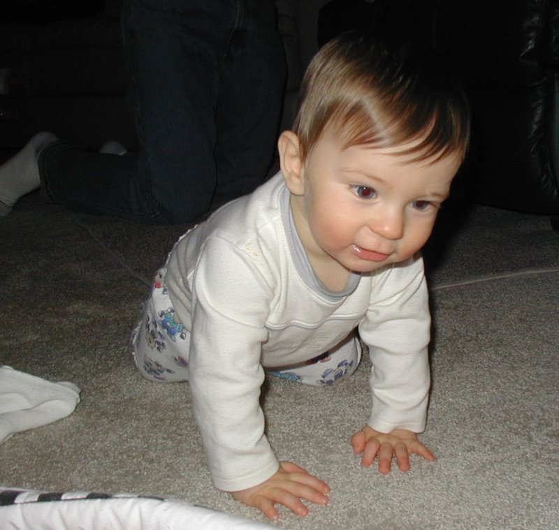 2002/01(January)/Misc/800x600_2002-01-05-Dax-crawling-4.JPG