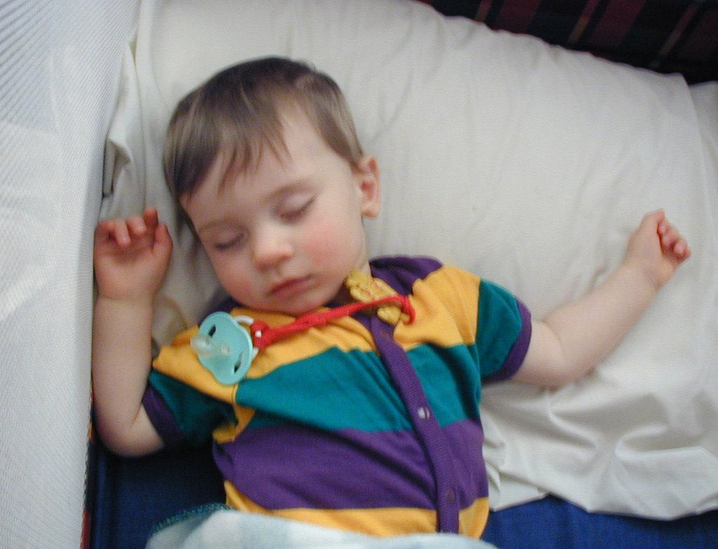 2002/02(February)/Misc/1024x768_2002-02-12-Dax-sleeping.JPG
