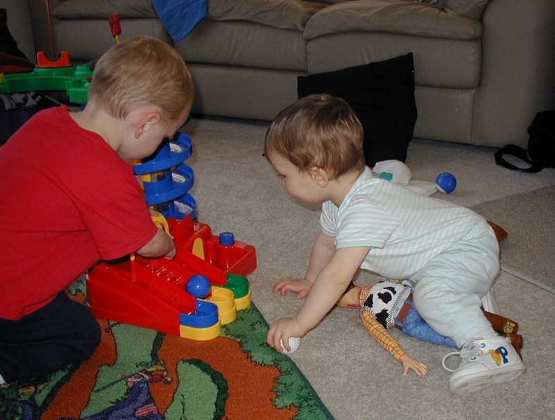 2002/02(February)/Misc/800x600_2002-02-20-16-Dax-Vale.JPG