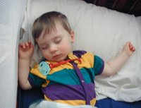 2002-02-12-Dax-sleeping.JPG