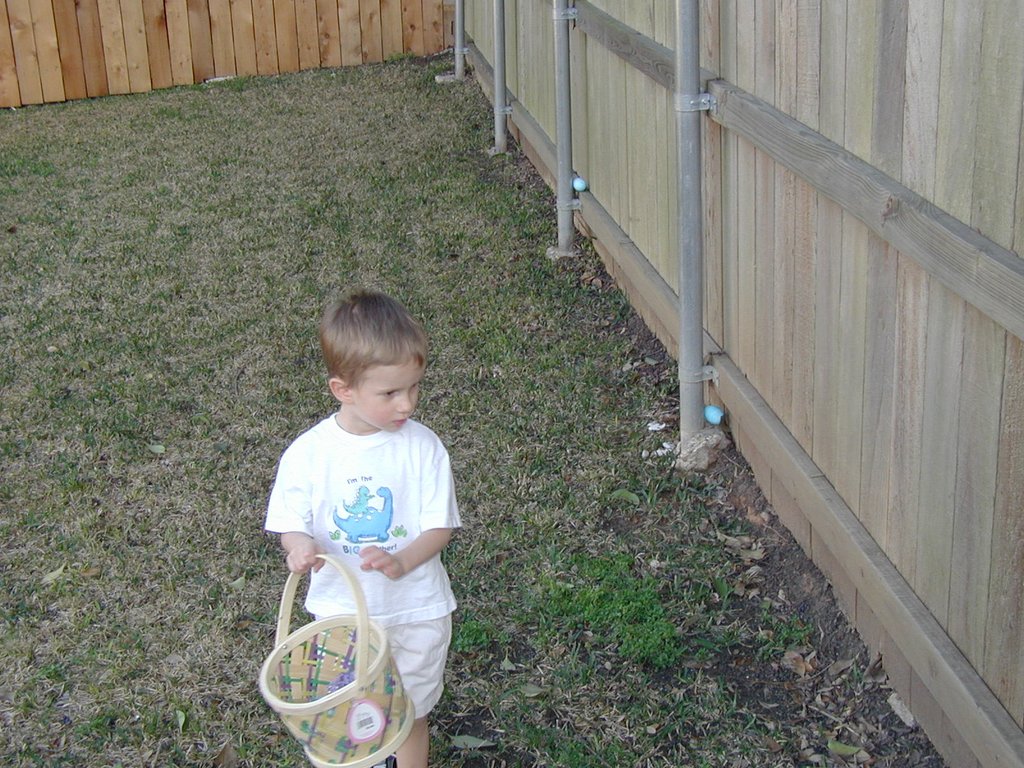 2002/03(March)/Easter/1024x768_2002-03-31-Easter-16-hunting-eggs-Chance.JPG
