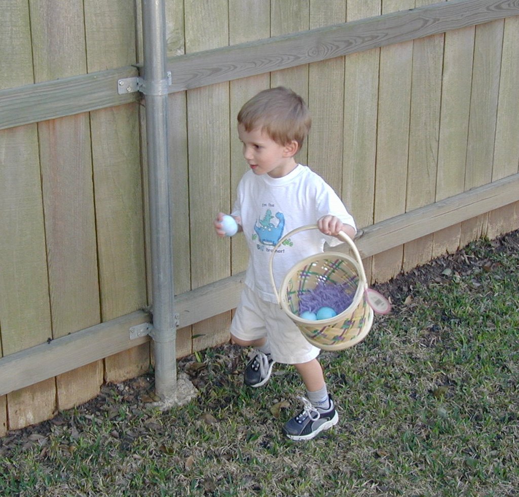 2002/03(March)/Easter/1024x768_2002-03-31-Easter-18-hunting-eggs-Chance.JPG