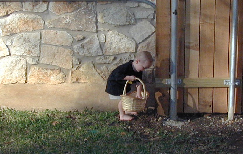 2002/03(March)/Easter/1024x768_2002-03-31-Easter-19-hunting-eggs-Vale.JPG