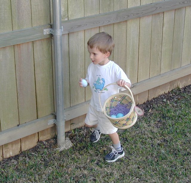 2002/03(March)/Easter/640x480_2002-03-31-Easter-18-hunting-eggs-Chance.JPG