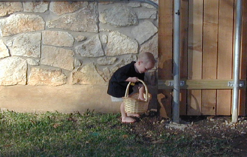 2002/03(March)/Easter/800x600_2002-03-31-Easter-19-hunting-eggs-Vale.JPG
