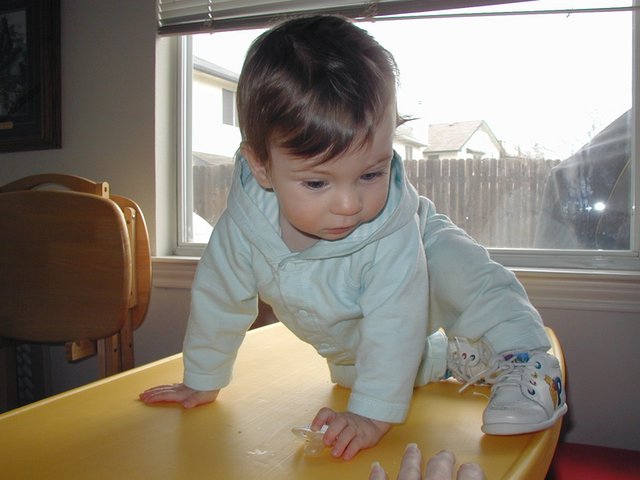 2002/03(March)/Misc/640x480_2002-03-20-8-Dax-on-table.JPG