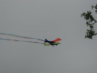 2002-04-05-Pace-Bend-04-kite.JPG