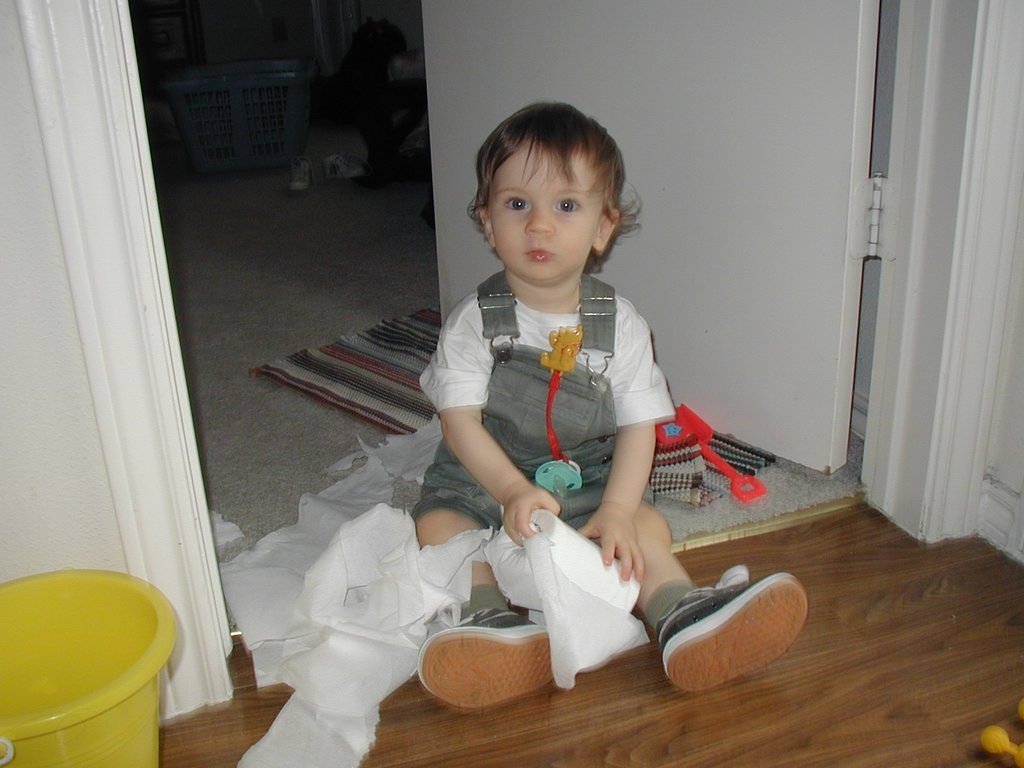 2002-04-21-Dax-toilet-paper-1.JPG
