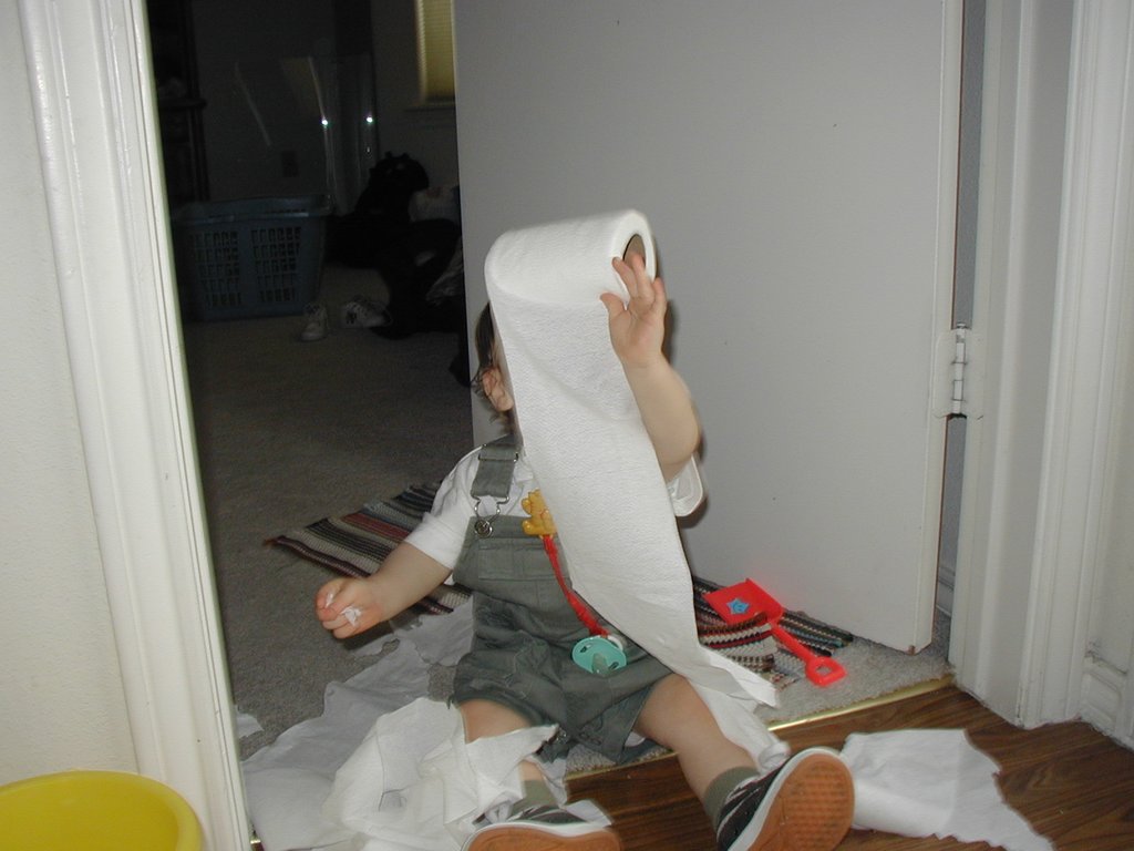 2002-04-21-Dax-toilet-paper-3.JPG