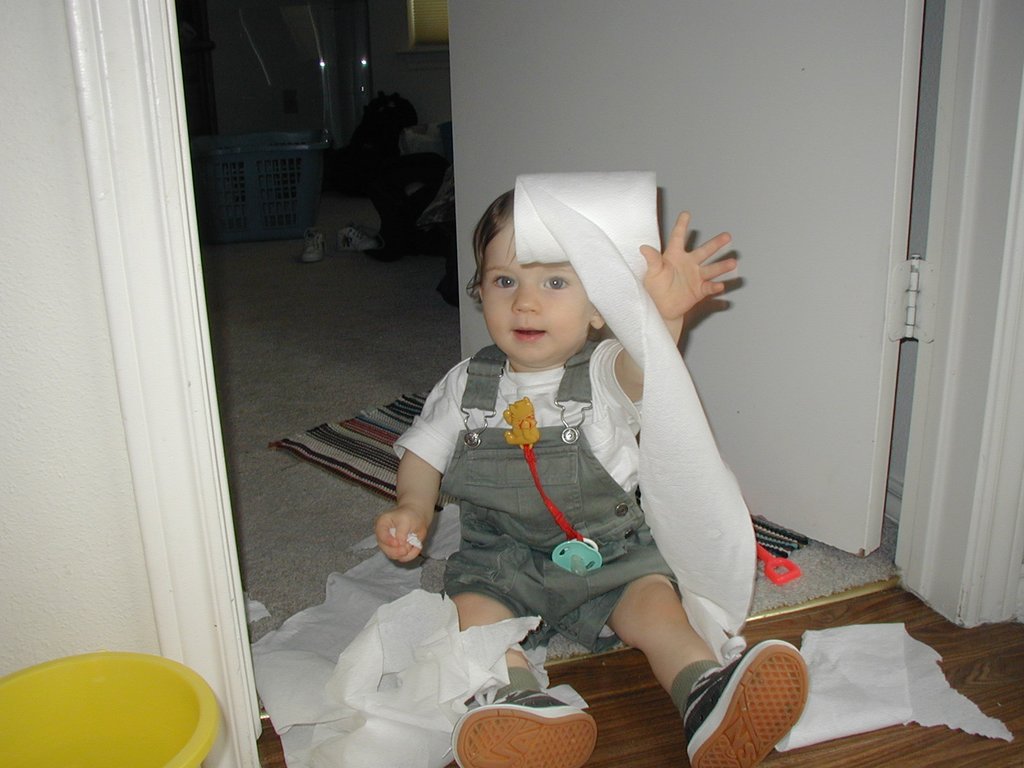 2002-04-21-Dax-toilet-paper-4.JPG
