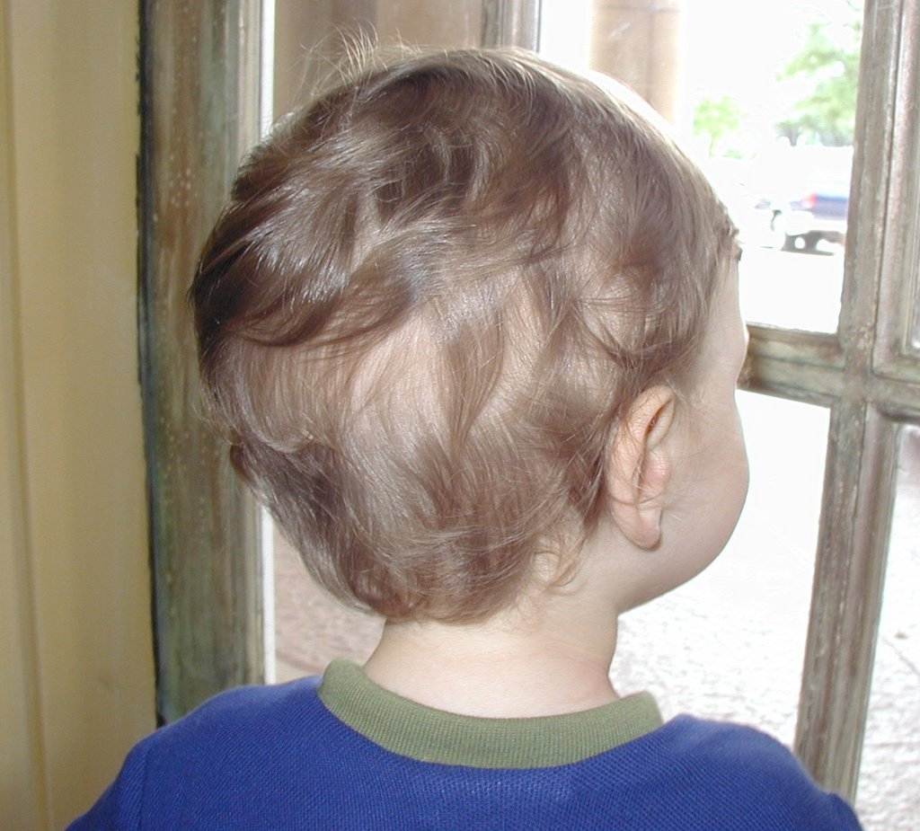 2002/04(April)/Misc/1024x768_2002-04-23-05-Dax-1st-Haircut.JPG