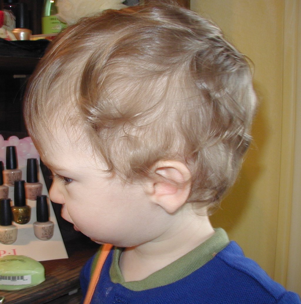 2002/04(April)/Misc/1024x768_2002-04-23-06-Dax-1st-Haircut.JPG