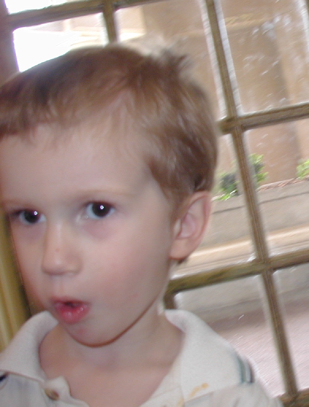 2002-04-23-07-Chance.JPG