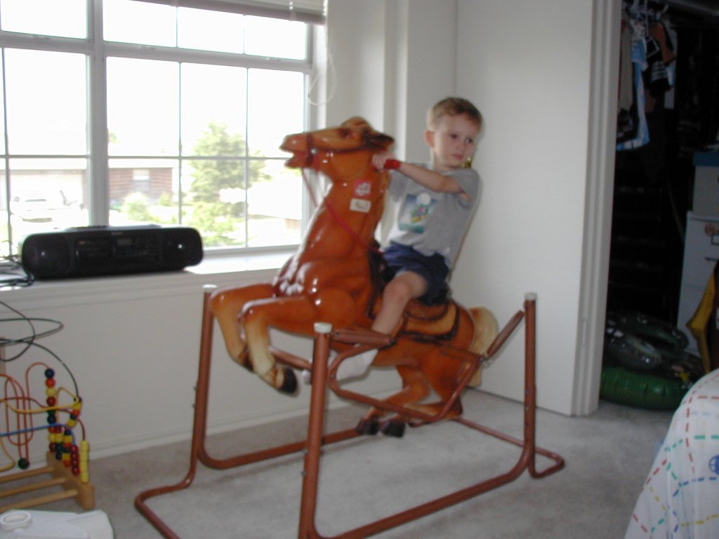 2002/04(April)/Misc/1024x768_2002-04-28-02-Chance-horsey.JPG