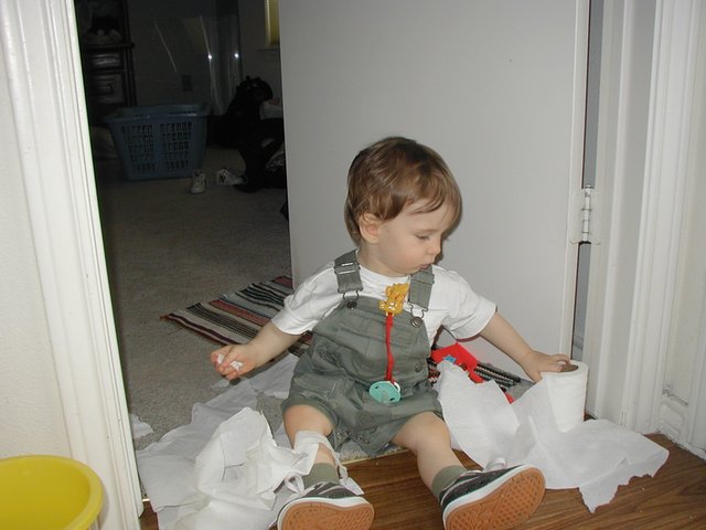 2002-04-21-Dax-toilet-paper-2.JPG