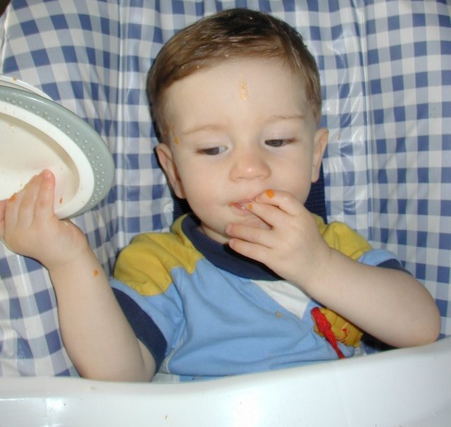 2002/04(April)/Misc/640x480_2002-04-25-Dax-eating-2.JPG