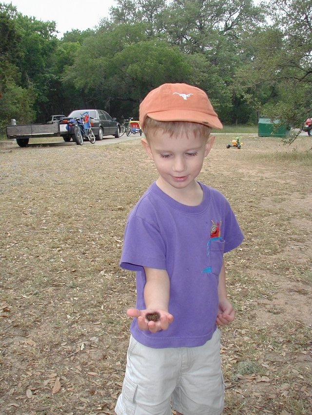 2002/05(May)/Camping/640x480_2002-05-03-Camping-Mckinney-Falls-4-Chance-catepillar.JPG