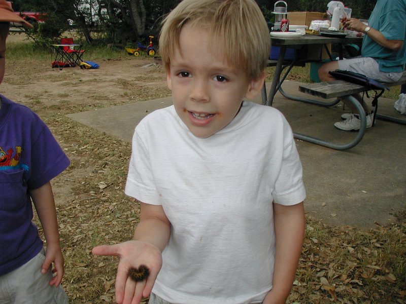 2002/05(May)/Camping/800x600_2002-05-03-Camping-Mckinney-Falls-3-Jack-catepillar.JPG