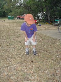 2002-05-03-Camping-Mckinney-Falls-1-Chance-catepillar.JPG