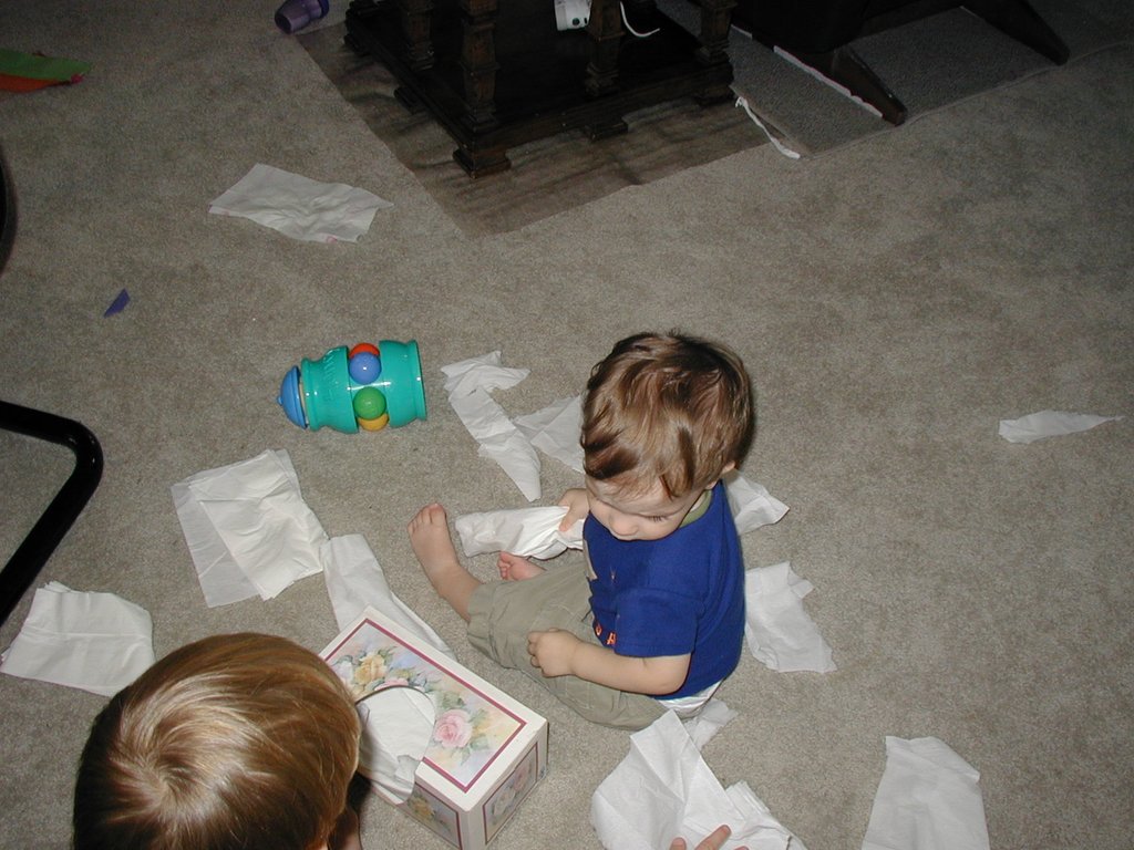 2002/07(July)/Misc/1024x768_2002-07-15-Chance-Dax-kleenex-mess.JPG