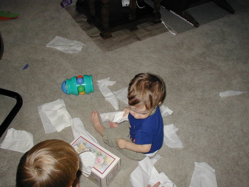2002/07(July)/Misc/800x600_2002-07-15-Chance-Dax-kleenex-mess.JPG