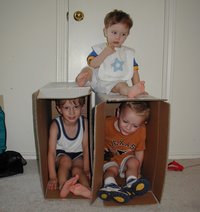 2002-07-06-6-Chance-Vale-Dax-boxes.JPG