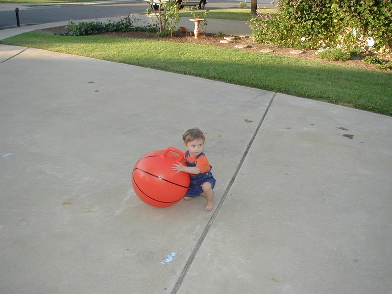 2002/08(August)/Misc/800x600_2002-08-23-06-Dax-ball.JPG