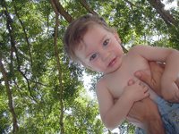 2002-08-25-38-Dax-trees.JPG