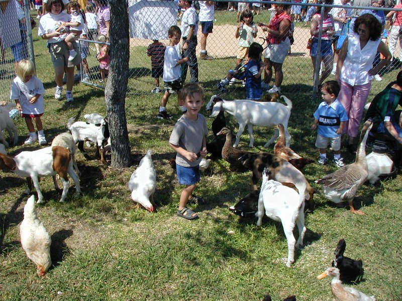 2002/09(September)/Church-Picnic/800x600_2002-09-29-Church-picnic-03-Chance.JPG