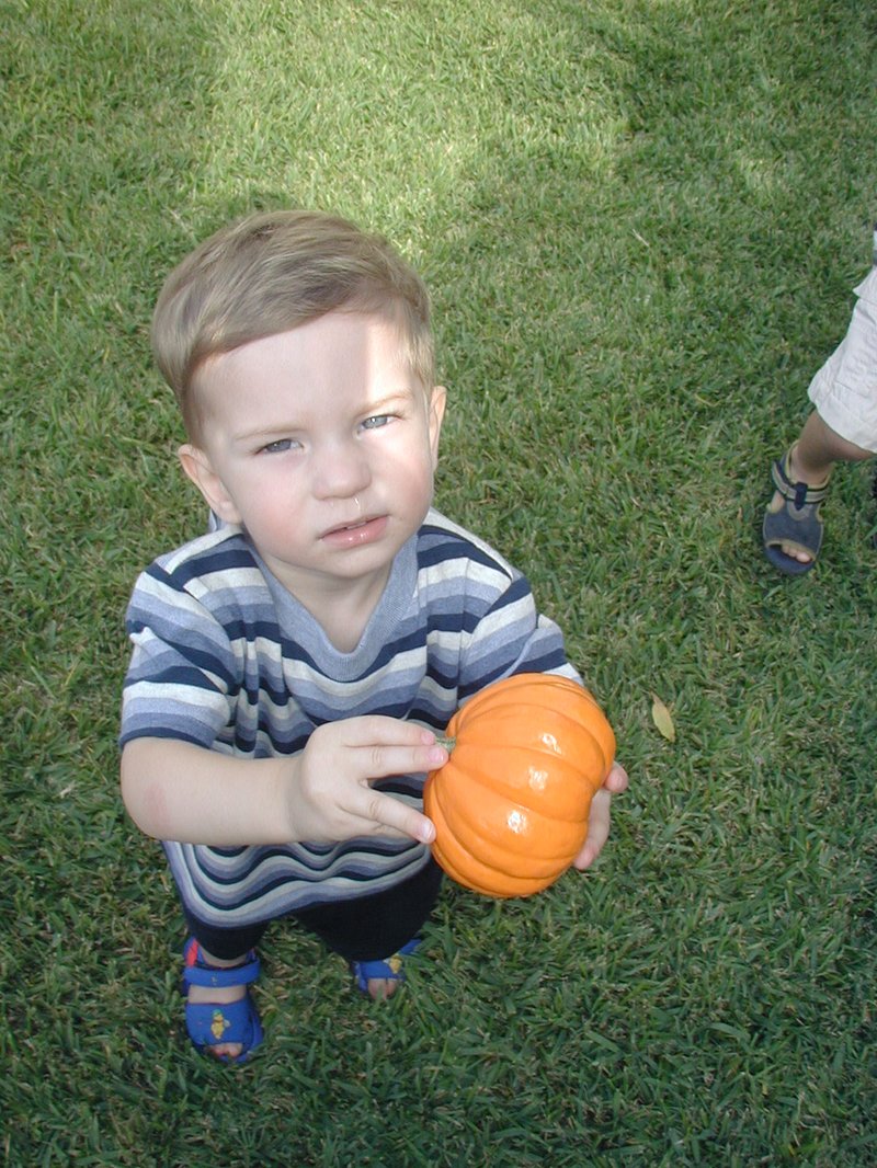 2002/10(October)/Chance-3rd-Birthday/800x600_2002-10-05-Chance-3rd-Bday-15-Dax.JPG