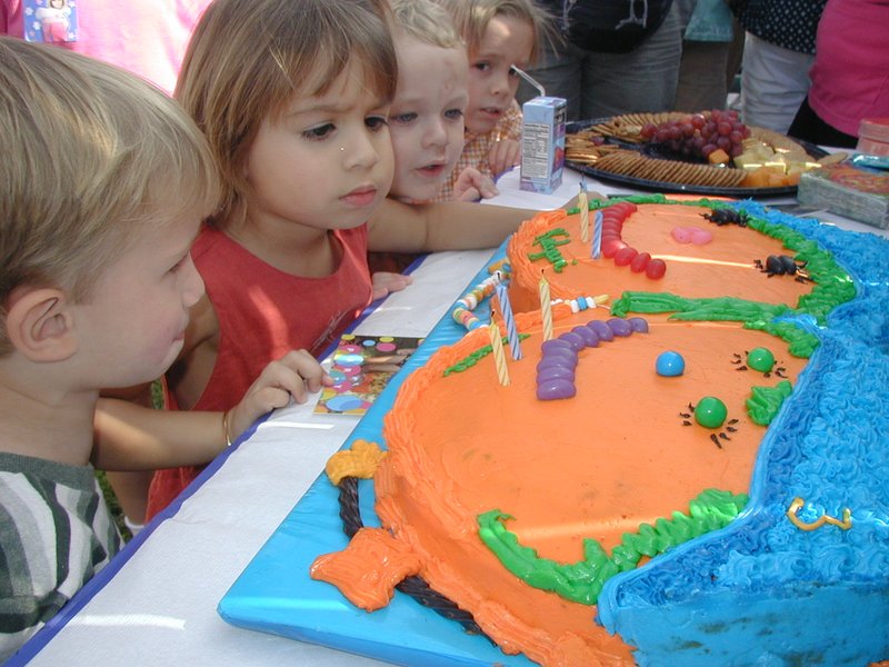 2002/10(October)/Chance-3rd-Birthday/800x600_2002-10-05-Chance-3rd-Bday-17-Kalyani-Vale-Jack-cake.JPG