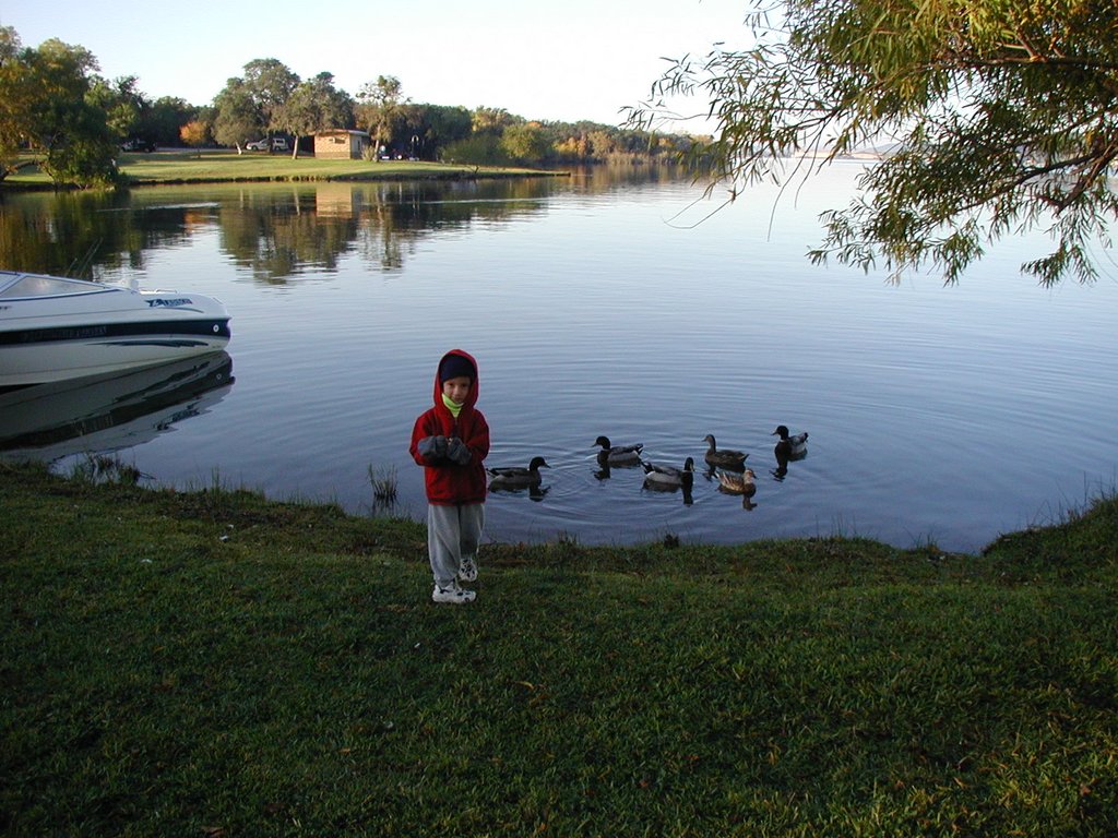 2002/11(November)/Camping/1024x768_2002-11-10-Ink-Lake-Camping-01-ducks-Chance.JPG