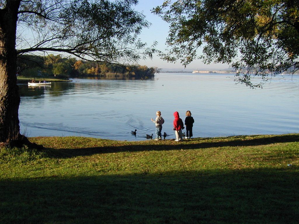 2002/11(November)/Camping/1024x768_2002-11-10-Ink-Lake-Camping-10-ducks-Zen-Chance-Kalyani.JPG