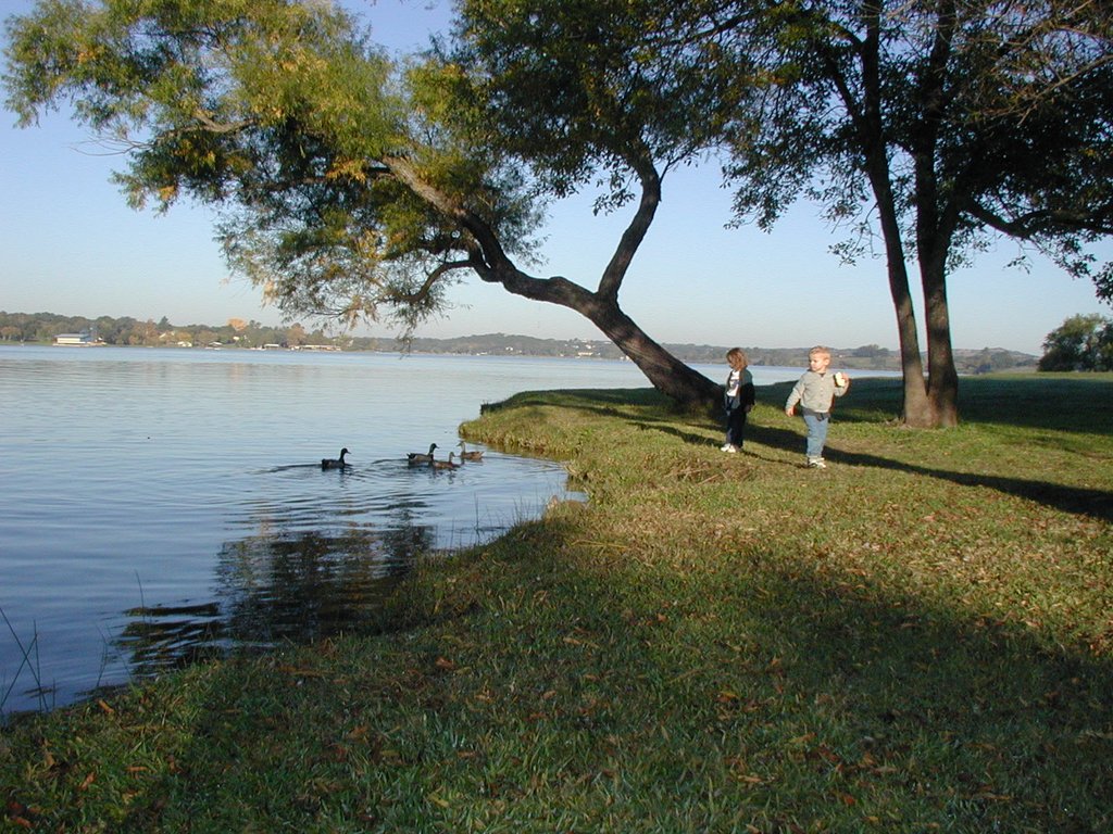 2002/11(November)/Camping/1024x768_2002-11-10-Ink-Lake-Camping-11-ducks-Kalyani-Zen.JPG