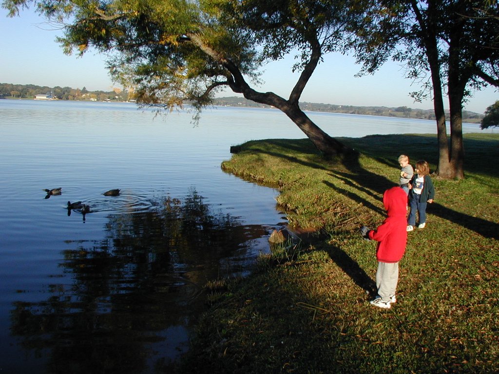 2002/11(November)/Camping/1024x768_2002-11-10-Ink-Lake-Camping-12-ducks-Chance-Zen-Kalyani.JPG