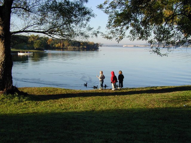 2002/11(November)/Camping/640x480_2002-11-10-Ink-Lake-Camping-10-ducks-Zen-Chance-Kalyani.JPG