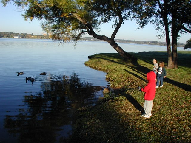 2002/11(November)/Camping/640x480_2002-11-10-Ink-Lake-Camping-12-ducks-Chance-Zen-Kalyani.JPG
