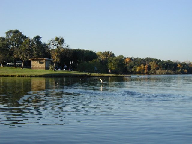 2002/11(November)/Camping/640x480_2002-11-10-Ink-Lake-Camping-15-ducks.JPG