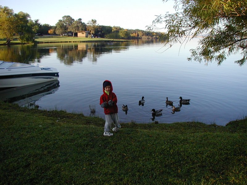 2002/11(November)/Camping/800x600_2002-11-10-Ink-Lake-Camping-02-ducks-Chance.JPG