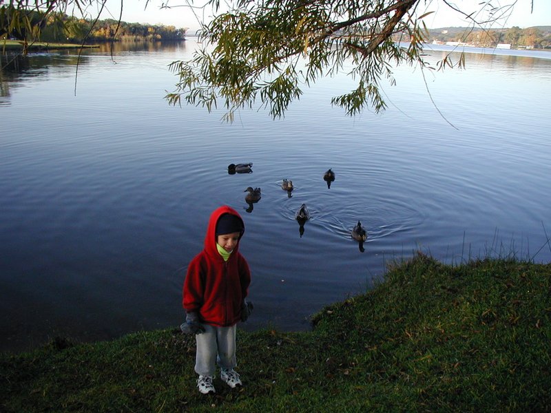 2002/11(November)/Camping/800x600_2002-11-10-Ink-Lake-Camping-09-ducks-Chance.JPG