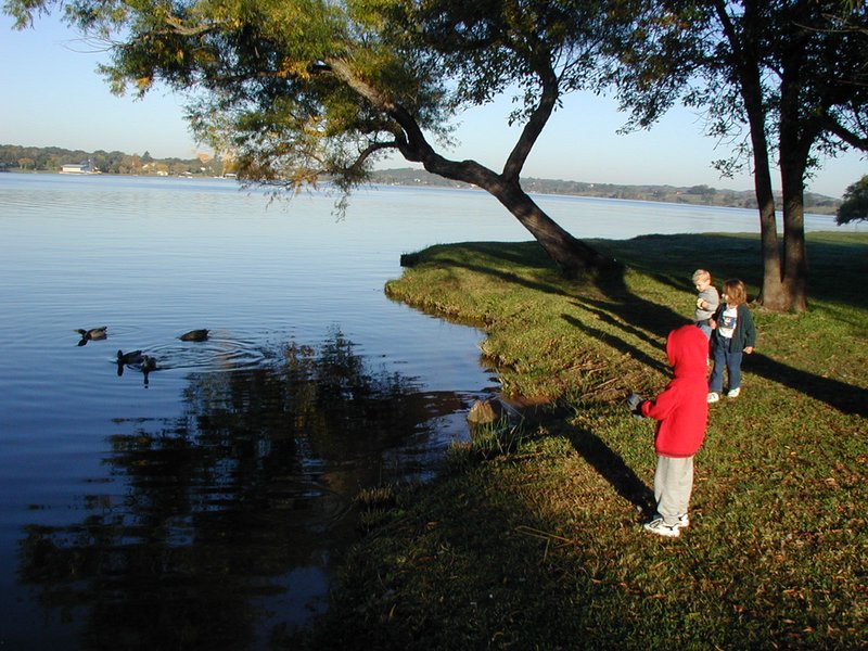 2002/11(November)/Camping/800x600_2002-11-10-Ink-Lake-Camping-12-ducks-Chance-Zen-Kalyani.JPG