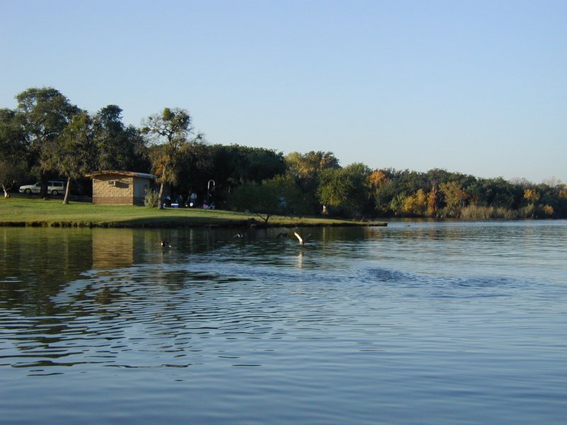 2002/11(November)/Camping/800x600_2002-11-10-Ink-Lake-Camping-15-ducks.JPG