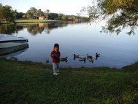 2002-11-10-Ink-Lake-Camping-01-ducks-Chance.JPG
