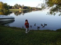 2002-11-10-Ink-Lake-Camping-02-ducks-Chance.JPG