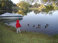 2002-11-10-Ink-Lake-Camping-03-ducks-Chance.JPG