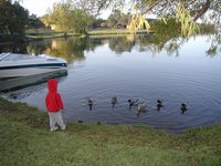 2002-11-10-Ink-Lake-Camping-04-ducks-Chance.JPG