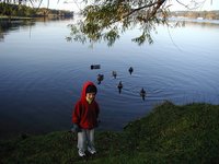 2002-11-10-Ink-Lake-Camping-09-ducks-Chance.JPG