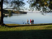 2002-11-10-Ink-Lake-Camping-10-ducks-Zen-Chance-Kalyani.JPG